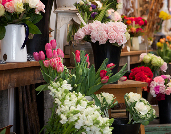 Mrs Bottomleys Flowers - Florist at The Tannery
