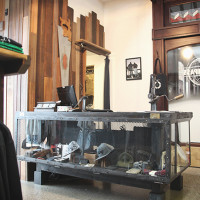 Encompass - shopping at The Tannery Christchurch